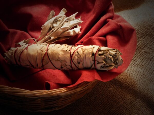 Weißer Salbei / White Sage